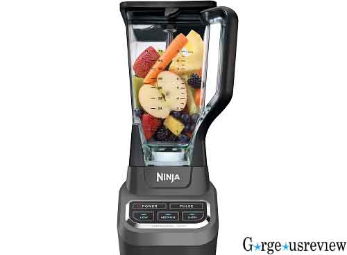 Best blender for daily harvest review